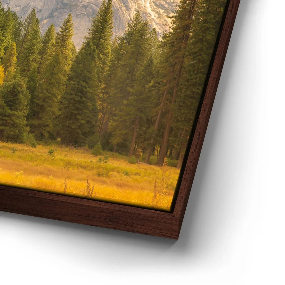 Featured image 14 for Storm Light At Half Dome