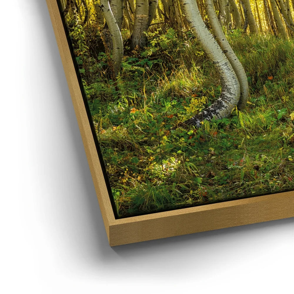 Featured image 12 for Straight is Relative