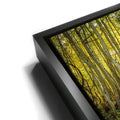 Thumbnail image 11 for Straight is Relative