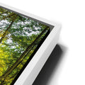 Thumbnail image 13 for Straight is Relative