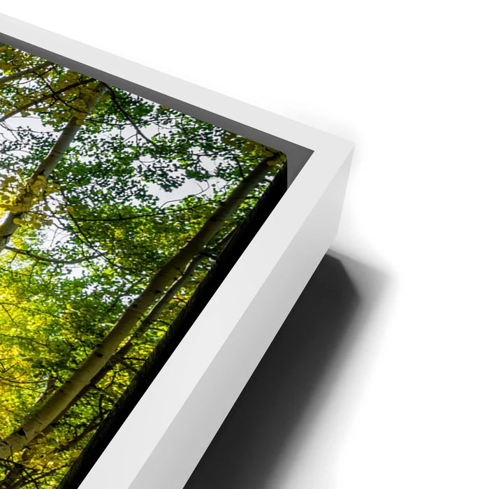 Featured image 13 for Straight is Relative