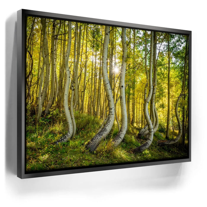 Featured image 5 for Straight is Relative