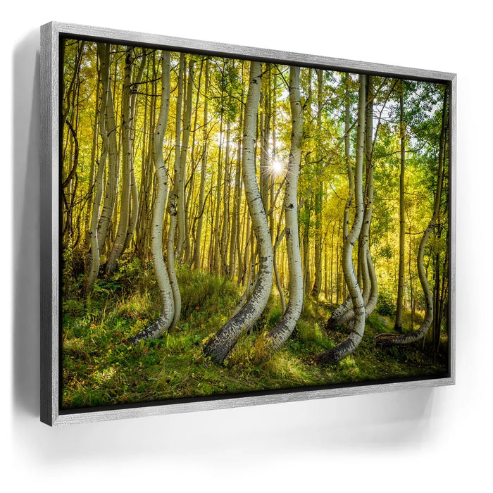 Featured image 8 for Straight is Relative