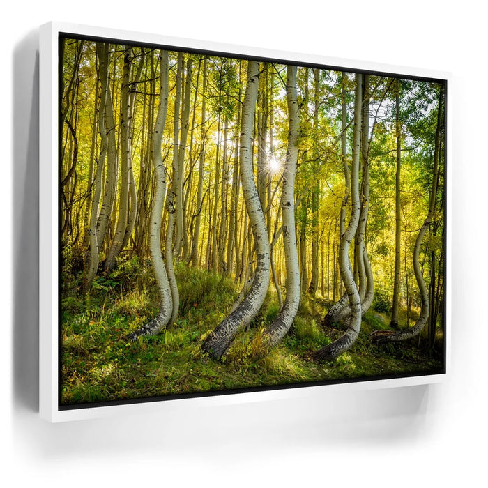 Featured image 6 for Straight is Relative