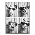 Featured image 1 for Strike a Pose