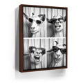 Featured image 10 for Strike a Pose