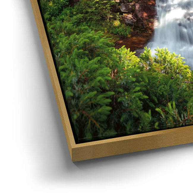 Featured image 12 for Summer Paradise In Glacier National Park