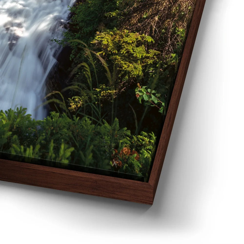 Featured image 14 for Summer Paradise In Glacier National Park