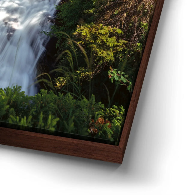 Featured image 14 for Summer Paradise In Glacier National Park