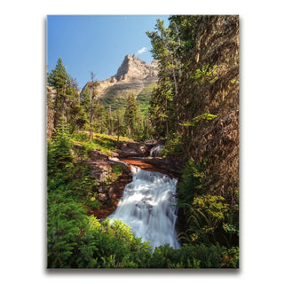 Summer Paradise In Glacier National Park