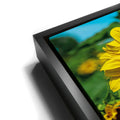 Thumbnail image 11 for Sunflower Radiance