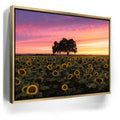 Featured image 7 for Sunflowers - Central Valley, California