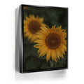 Featured image 5 for Sunflowers, Maui