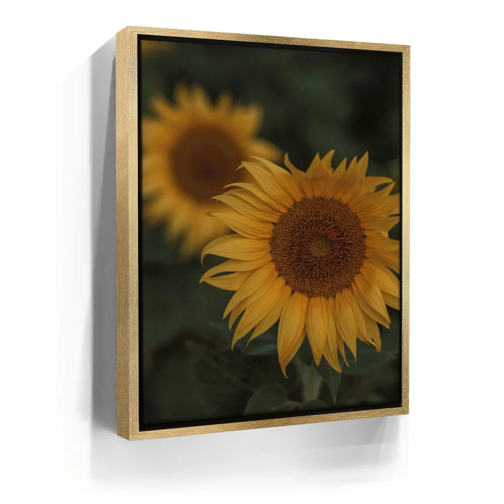 Featured image 7 for Sunflowers, Maui