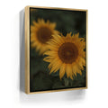 Featured image 7 for Sunflowers, Maui