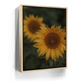 Featured image 9 for Sunflowers, Maui