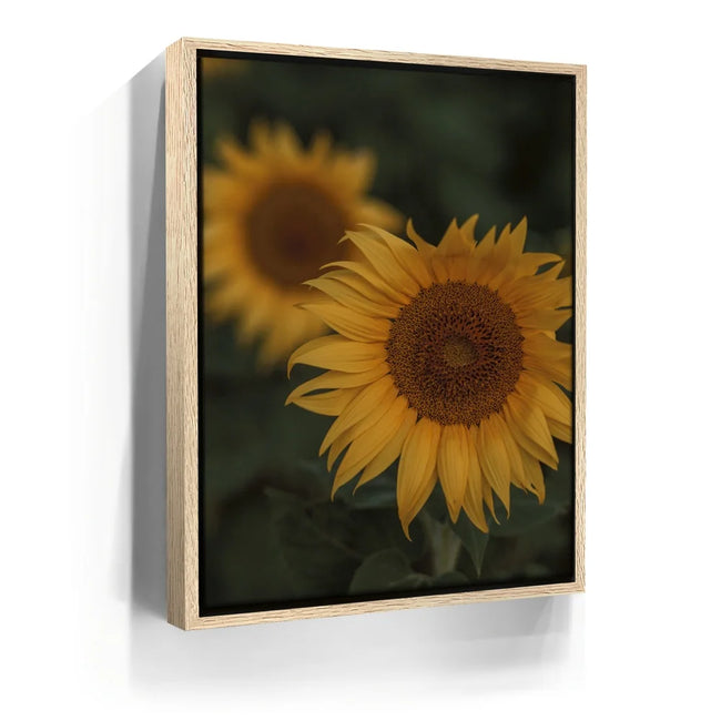 Featured image 9 for Sunflowers, Maui