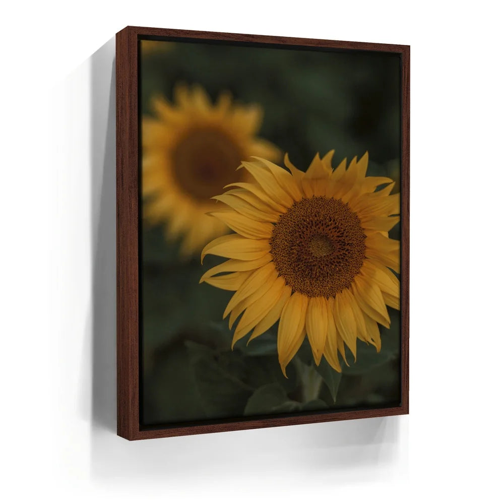 Featured image 10 for Sunflowers, Maui