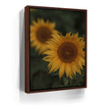 Featured image 10 for Sunflowers, Maui