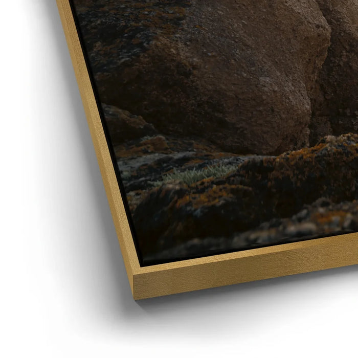 Featured image 12 for Sunkissed Seascape, Point Lobos Natural Reserve