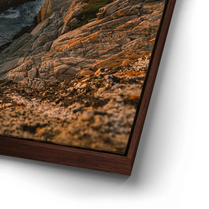 Featured image 14 for Sunkissed Seascape, Point Lobos Natural Reserve