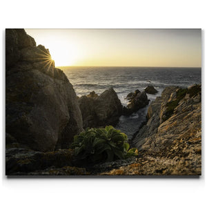 Sunkissed Seascape, Point Lobos Natural Reserve