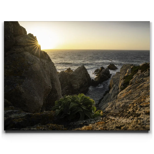 Sunkissed Seascape, Point Lobos Natural Reserve