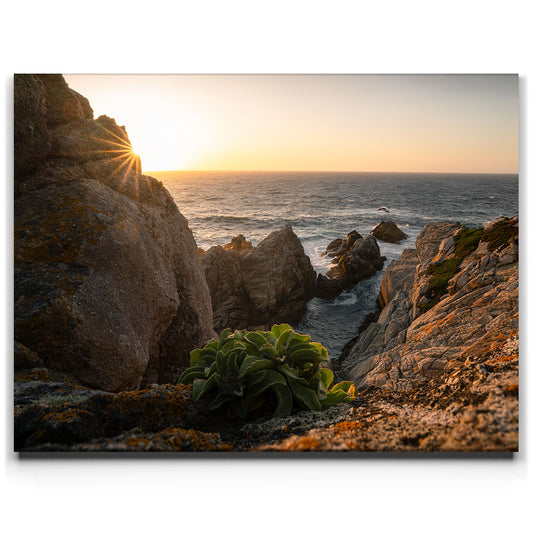 Sunkissed Seascape, Point Lobos Natural Reserve Posters, Prints, & Visual Artwork TheGoatWallArt LANDSCAPE 24x18 0.75" STANDARD