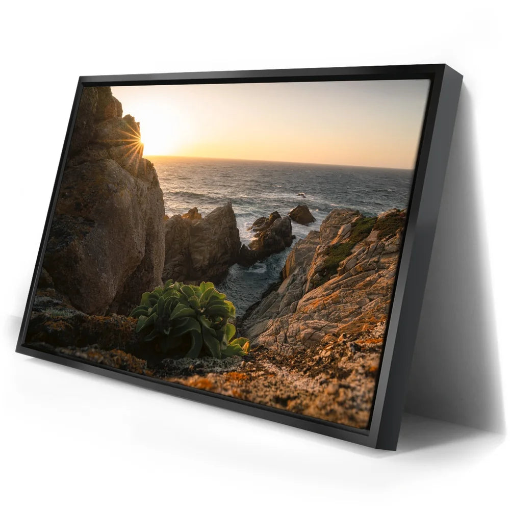 Featured image 2 for Sunkissed Seascape, Point Lobos Natural Reserve