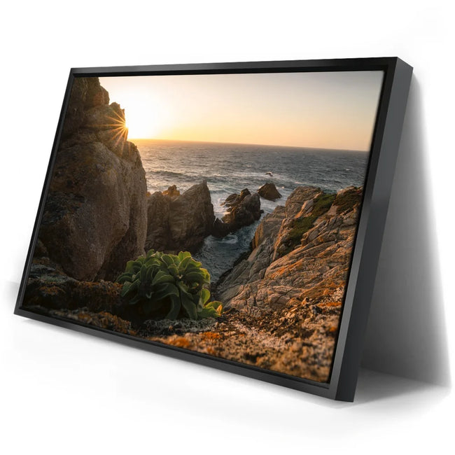 Featured image 2 for Sunkissed Seascape, Point Lobos Natural Reserve