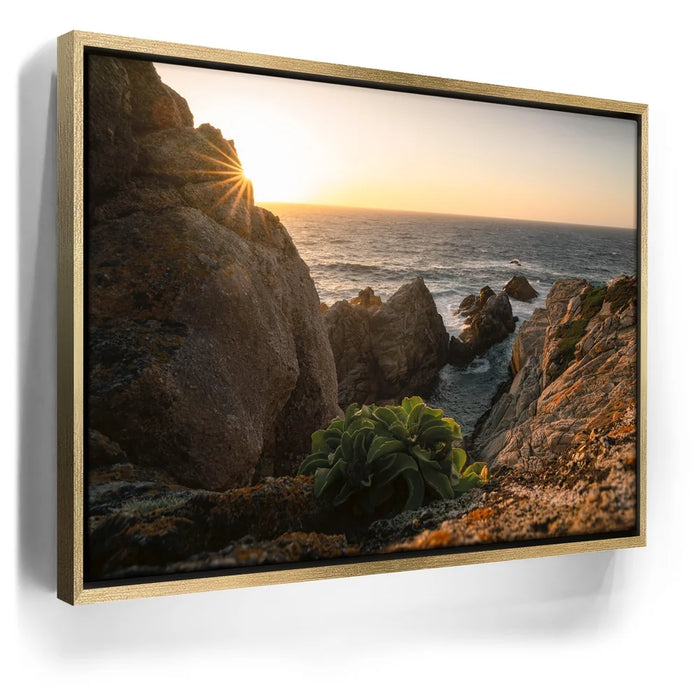 Featured image 7 for Sunkissed Seascape, Point Lobos Natural Reserve