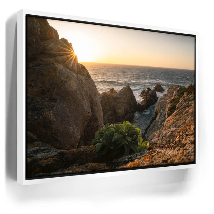 Featured image 6 for Sunkissed Seascape, Point Lobos Natural Reserve