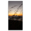 Featured image 1 for Sunrise Above Haleakala Volcano, Maui