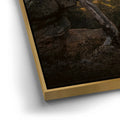 Thumbnail image 12 for Sunset at Mt. Lemmon, Arizona