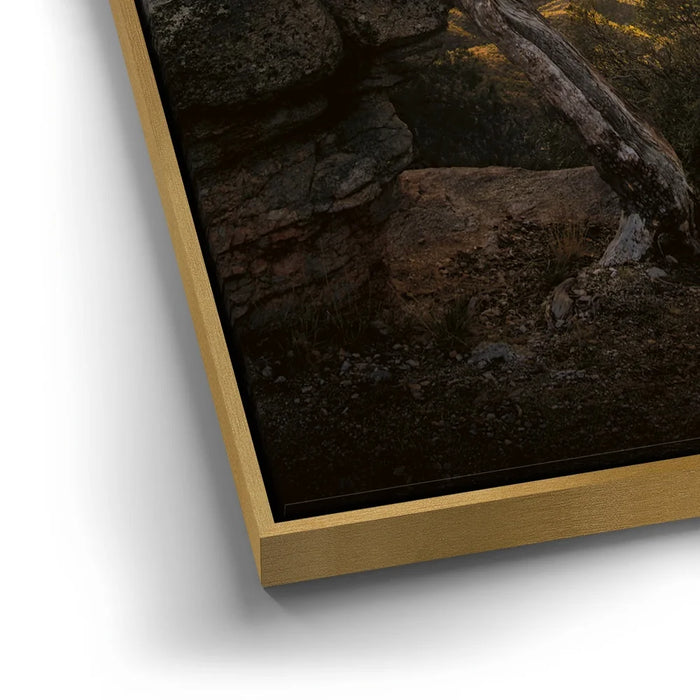 Featured image 12 for Sunset at Mt. Lemmon, Arizona