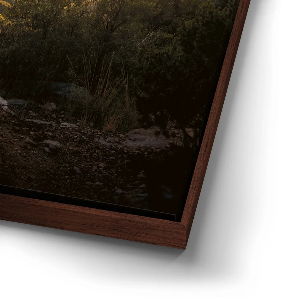 Featured image 14 for Sunset at Mt. Lemmon, Arizona