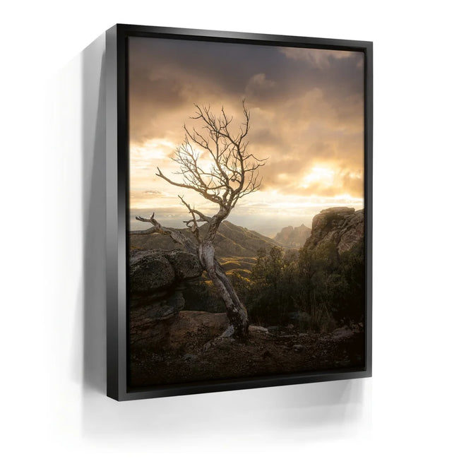 Featured image 5 for Sunset at Mt. Lemmon, Arizona