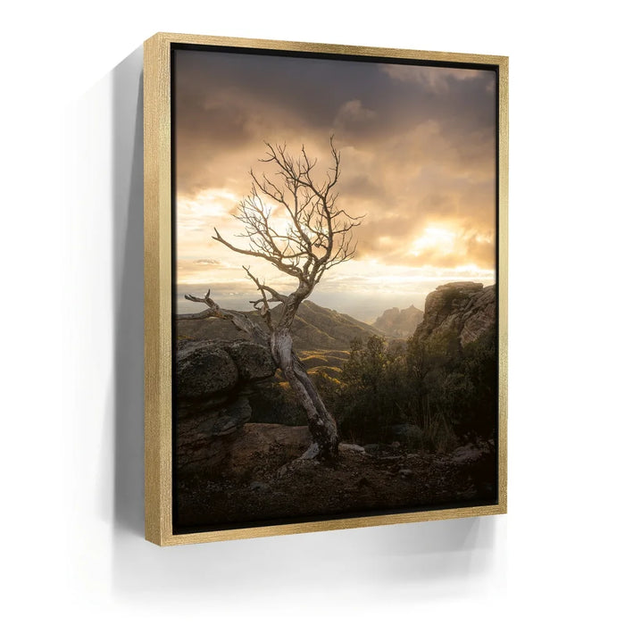 Featured image 7 for Sunset at Mt. Lemmon, Arizona