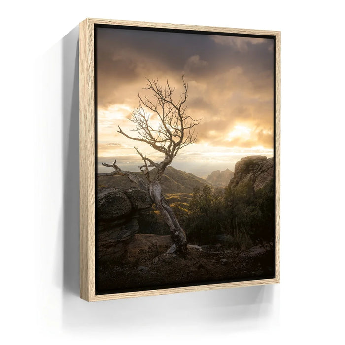 Featured image 9 for Sunset at Mt. Lemmon, Arizona