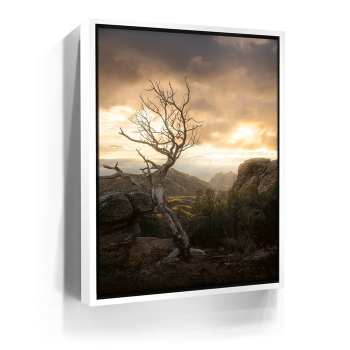 Featured image 6 for Sunset at Mt. Lemmon, Arizona