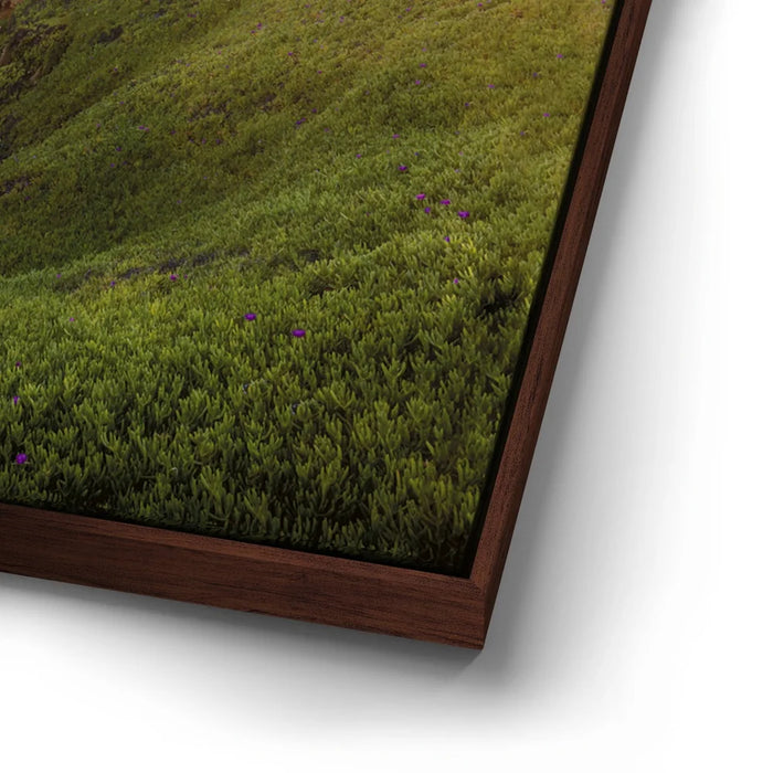 Featured image 14 for Sunset at Pigeon Point Lighthouse