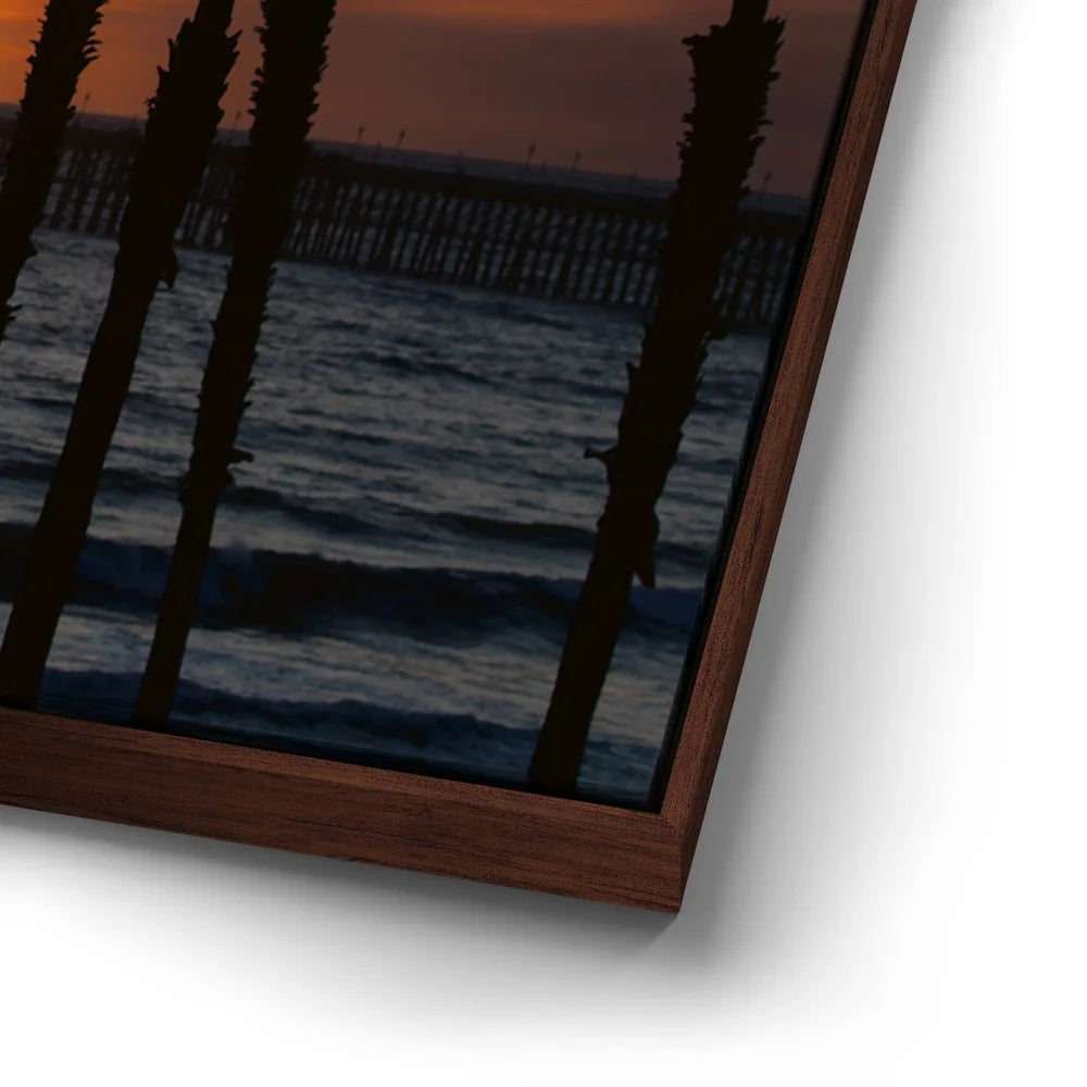 Featured image 14 for Sunset Between Palms