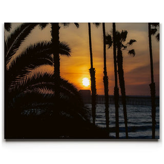 Sunset Between Palms