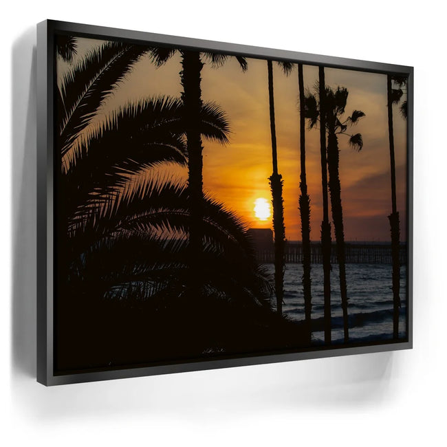 Featured image 5 for Sunset Between Palms