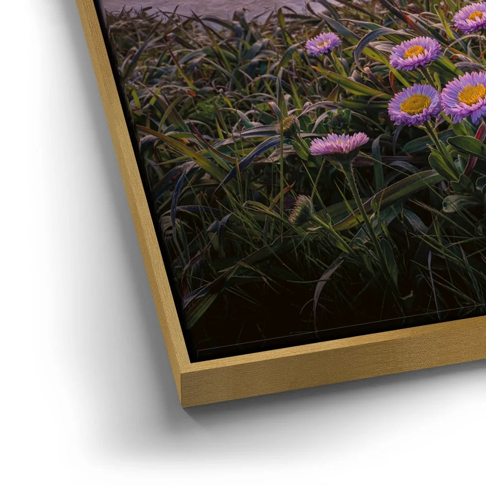 Featured image 12 for Sunset Bloom
