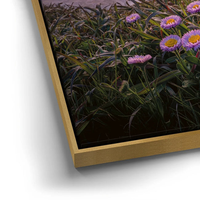 Featured image 12 for Sunset Bloom