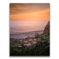 Featured image 1 for Sunset Bloom