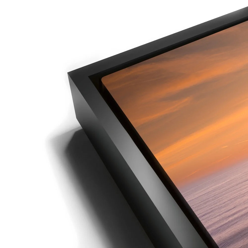 Featured image 11 for Sunset Bloom