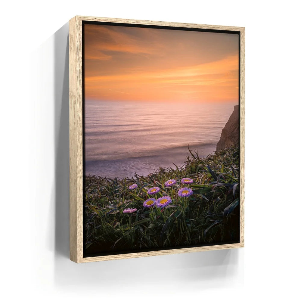 Featured image 9 for Sunset Bloom
