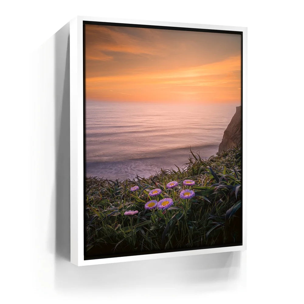 Featured image 6 for Sunset Bloom